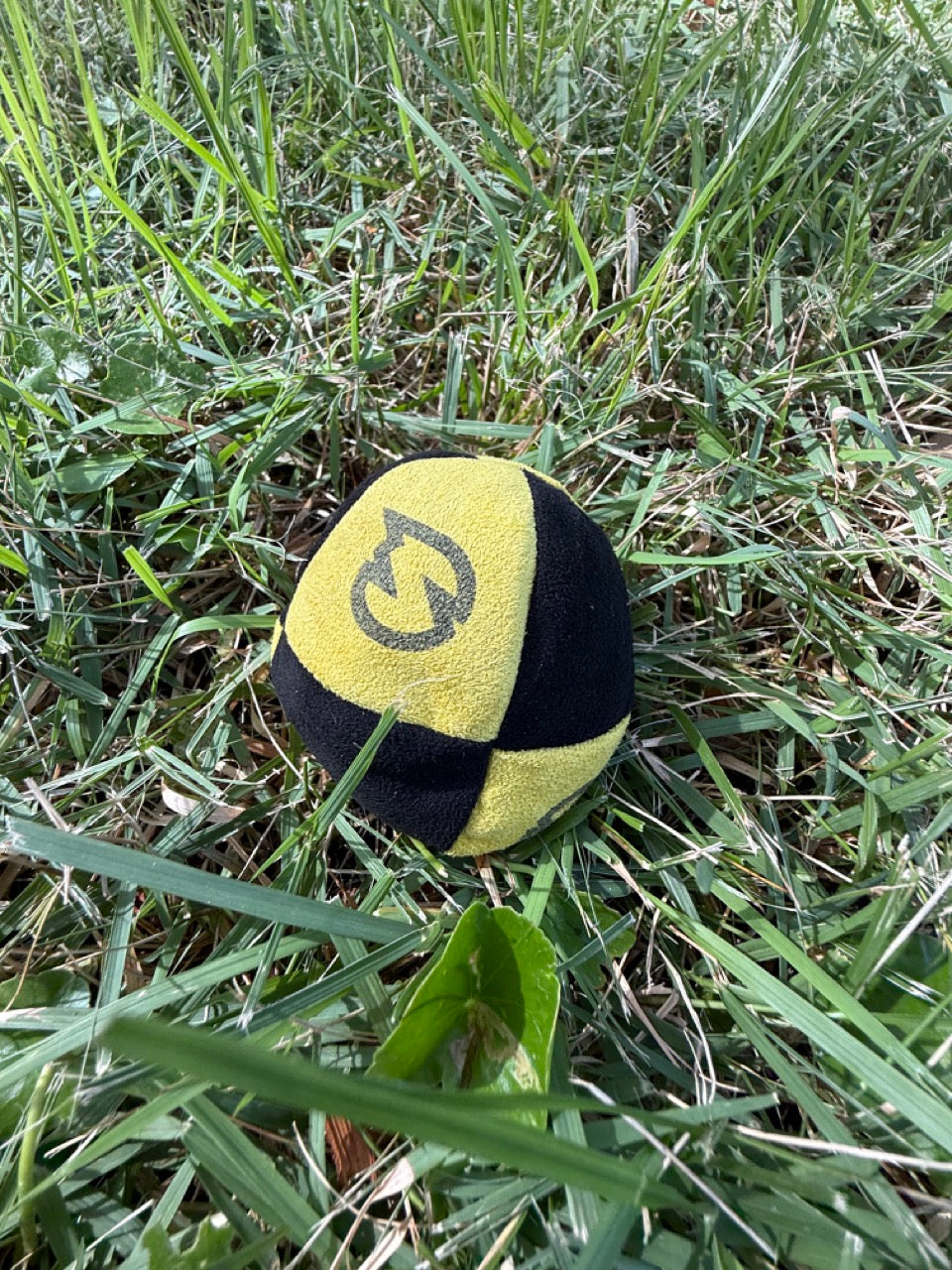 SpikeSack