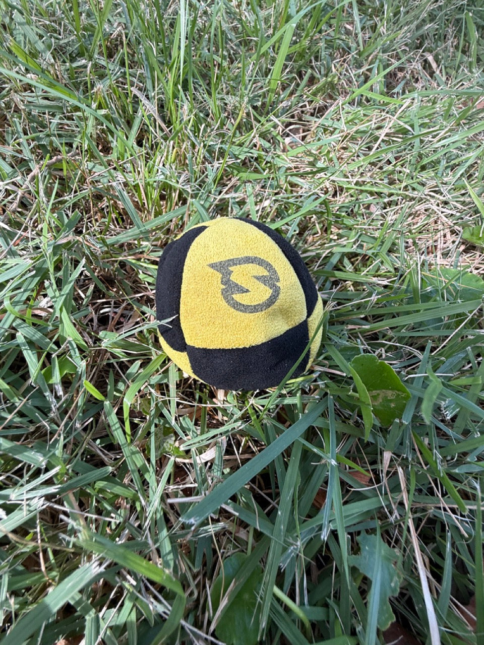 SpikeSack