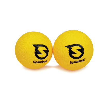 Ensemble Spikeball Weekender