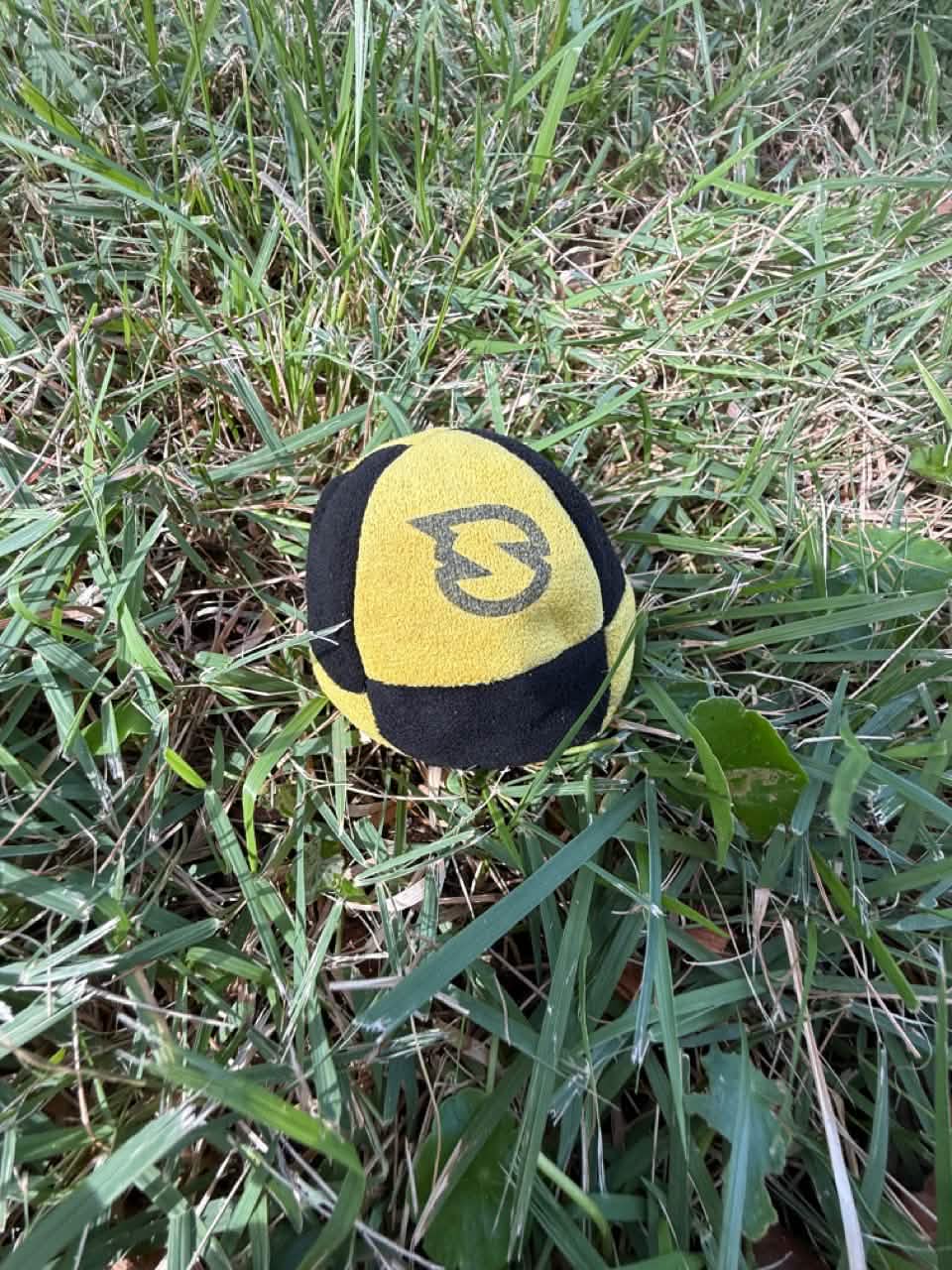 SpikeSack