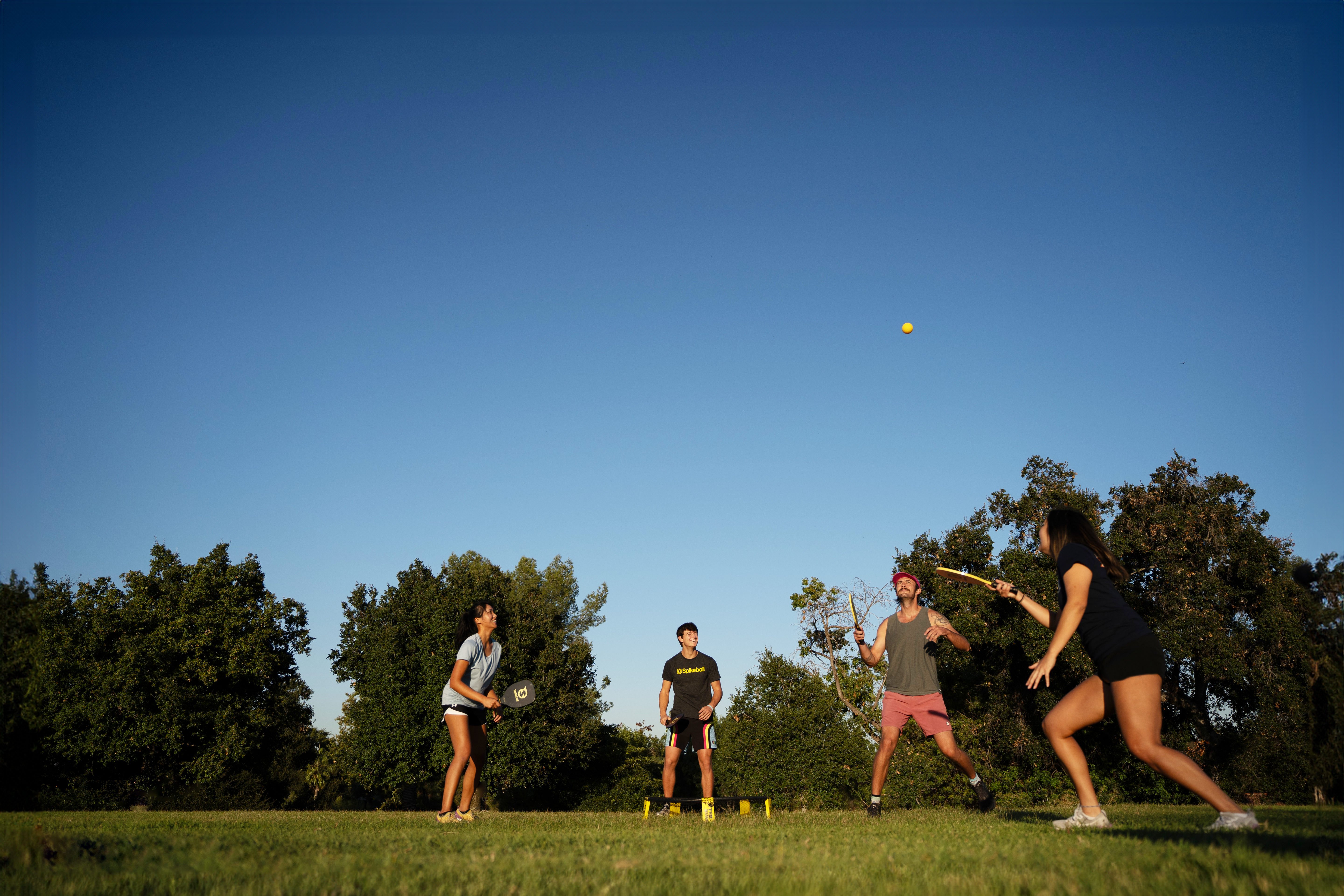 Faisson à palettes à pointes