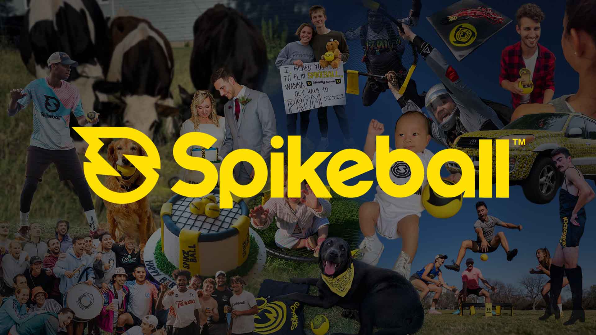 Spikeball The Original Spikeball Kit 1-Ball